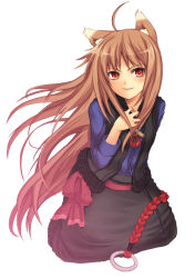 Rule 34 | 00s, animal ears, brown hair, char, face, holo, long hair, red eyes, smile, solo, spice and wolf, wolf ears
