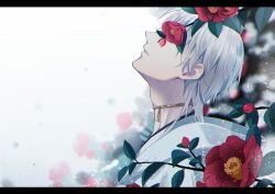 Rule 34 | 1boy, absurdres, adam&#039;s apple, branch, choker, closed mouth, covered eyes, facing up, flower, from side, grey hair, highres, hood, hood down, letterboxed, male focus, nature, portrait, profile, red flower, rei (usabiba), short hair, snowing, solo, touken ranbu, tsurumaru kuninaga, white background