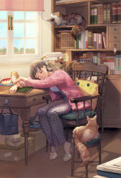 Rule 34 | 1girl, animal, animal on back, bag, basket, blue shirt, book, bookshelf, box, braid, brown hair, brush, cake, cardboard box, cardigan, cat, cat-shaped pillow, cat slippers, chair, checkered pants, crossed arms, cushion, day, desk, desk lamp, ed (chibied), eyelashes, flower, food, french braid, fruit, grey pants, head rest, highres, indoors, lamp, light particles, lint roller, nose, notepad, open cardigan, open clothes, original, pants, pink cardigan, planter, school bag, shadow, shirt, short hair, sitting, sleeping, slippers, smile, solo, sticky note, stool, strawberry, strawberry shortcake, window, window shadow