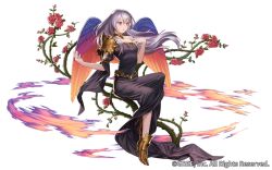 Rule 34 | 1girl, bare arms, black dress, dress, esukee, feathered wings, flower, full body, gold footwear, grey hair, long hair, multicolored wings, official art, purple eyes, rose, seisen cerberus, simple background, sitting, solo, thorns, transparent background, wings
