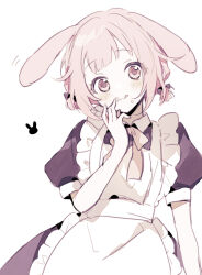 Rule 34 | 1girl, :3, :q, animal ears, apron, black bow, black dress, bow, bowtie, dress, hair bow, hand up, looking at viewer, maid, ootori emu, pink bow, pink bowtie, pink eyes, pink hair, project sekai, puffy short sleeves, puffy sleeves, qi7pi, rabbit ears, short hair, short sleeves, short twintails, sidelocks, simple background, solo, tongue, tongue out, twintails, upper body, white apron, white background