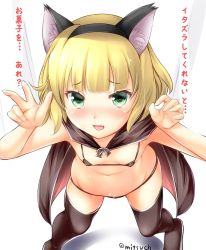 Rule 34 | 1girl, :d, animal ears, bikini, black bikini, black cape, black thighhighs, blonde hair, blunt bangs, blush, breasts, cape, cat ears, claw pose, commentary request, eccentriky, fake animal ears, fang, foreshortening, from above, gochuumon wa usagi desu ka?, green eyes, highres, kirima syaro, looking at viewer, micro bikini, open mouth, shadow, short hair, small breasts, smile, solo, standing, swimsuit, thighhighs, translated, twitter username, wavy hair, white background
