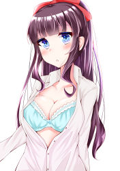 Rule 34 | 10s, 1girl, blue bra, blue eyes, blush, bra, breasts, brown hair, cleavage, highres, large breasts, new game!, solo, takimoto hifumi, underwear