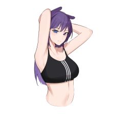 Rule 34 | 1girl, armpits, arms behind head, black sports bra, blue eyes, breasts, closed mouth, heterochromia, highres, hololive, hololive english, koupi (ku roiko), ku roiko, large breasts, long hair, looking at viewer, medium support (meme), meme, midriff, navel, open mouth, pointy ears, purple eyes, purple hair, simple background, smile, sports bra, takodachi (ninomae ina&#039;nis), virtual youtuber