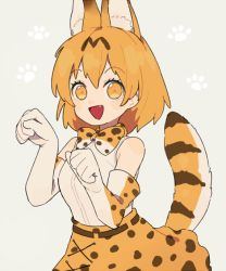 Rule 34 | 10s, 1girl, animal ears, bad id, bad twitter id, bow, bowtie, commentary, elbow gloves, fang, gloves, gomi (kaiwaresan44), high-waist skirt, kemono friends, looking at viewer, miniskirt, orange eyes, orange hair, orange skirt, paw pose, paw print, print gloves, print skirt, serval (kemono friends), serval print, serval tail, shirt, short hair, silver background, skirt, sleeveless, solo, standing, striped tail, tail, upper body, white shirt