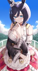 Rule 34 | 1girl, absurdres, anima miko, animal ears, apron, bare shoulders, black hair, blue eyes, blue ribbon, blue sky, bob cut, bow, breasts, choker, cleavage, closed mouth, cloud, cloudy sky, collarbone, commentary request, day, detached sleeves, dirndl, ear ribbon, ear scrunchie, eishin flash (umamusume), german clothes, hair between eyes, hand up, highres, horse ears, horse girl, index finger raised, large breasts, long sleeves, looking at viewer, outdoors, red choker, ribbon, scrunchie, short hair, skirt, sky, smile, solo, striped clothes, striped skirt, umamusume, vertical-striped clothes, vertical-striped skirt, waist apron, white apron, white scrunchie