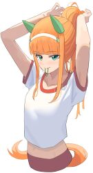 Rule 34 | 1girl, absurdres, alternate hairstyle, animal ears, aqua eyes, blush, chisaku, closed mouth, commentary request, ear covers, hair tie, hairband, highres, horse ears, horse girl, horse tail, long hair, midriff, mouth hold, navel, orange hair, ponytail, red shorts, short sleeves, shorts, silence suzuka (umamusume), simple background, smile, solo, tail, tying hair, umamusume, white background, white hairband
