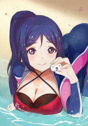 Rule 34 | 1girl, ass, blue hair, blush, bodysuit, breasts, cleavage, diving suit, large breasts, looking at viewer, love live!, love live! sunshine!!, matsuura kanan, ocean, otter, partially submerged, ponytail, purple eyes, sand, smile, solo, tentencall, water, wetsuit