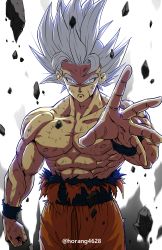 Rule 34 | 1boy, absurdres, closed mouth, dragon ball, dragon ball super, highres, horang4628, male focus, muscular, muscular male, rock, sash, serious, solo, son goku, spiked hair, topless male, torn clothes, ultra instinct, white eyes, white hair