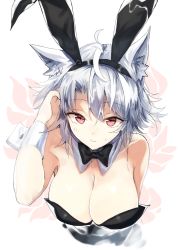 Rule 34 | 1girl, alternate costume, animal ears, arm up, bad id, bad pixiv id, bare arms, bare shoulders, black bow, bow, bowtie, breasts, cleavage, commentary request, detached collar, fake animal ears, inubashiri momiji, large breasts, leaning forward, leotard, looking at viewer, playboy bunny, rabbit ears, red eyes, short hair, smile, solo, suminagashi, touhou, upper body, white background, white hair, wolf ears, wrist cuffs