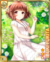 Rule 34 | 1girl, beads, bird, brown eyes, brown hair, card, character name, closed mouth, day, dress, duck, flower, fukita ibuki, girlfriend (kari), green background, hair ornament, hairclip, jewelry, looking at viewer, lying, meadow, necklace, official art, on side, outdoors, qp:flapper, short hair, short sleeves, smile, socks, white dress