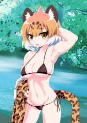 Rule 34 | 10s, 1girl, animal ears, arm up, armpits, bikini, blonde hair, breasts, brown bikini, cleavage, cowboy shot, day, hand in own hair, highres, holding, holding clothes, jaguar (kemono friends), jaguar ears, jaguar print, jaguar tail, kemono friends, looking at viewer, mamiyama, medium breasts, multicolored hair, navel, open mouth, outdoors, short hair, side-tie bikini bottom, side-tie bottom, solo, standing, stomach, swimsuit, tail, toned, tsurime, water, white hair, yellow eyes