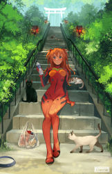 Rule 34 | 1girl, animal, bag, blue eyes, bodysuit, bottle, breasts, cat, commentary, evangelion: 2.0 you can (not) advance, food, full body, highres, holding, holding bottle, long hair, looking at viewer, medium breasts, neon genesis evangelion, orange hair, outdoors, parted lips, plastic bag, plugsuit, pocky, rebuild of evangelion, red bodysuit, sitting, sitting on stairs, skin tight, solo, souryuu asuka langley, stairs, syertse, twintails
