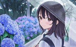 Rule 34 | 1girl, absurdres, backpack, bag, black hair, blue flower, blush, brown eyes, closed mouth, day, flower, from side, hair between eyes, highres, holding, holding umbrella, hydrangea, kaya8, long hair, looking at viewer, looking to the side, original, outdoors, pink flower, rain, school uniform, shirt, smile, solo, transparent, transparent umbrella, tree, umbrella, upper body, white shirt