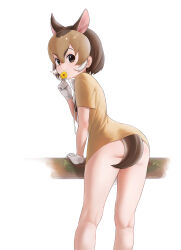 Rule 34 | 1girl, animal ears, ass, beleven, brown eyes, brown hair, brown shirt, chevrotain (kemono friends), closed mouth, commentary, english commentary, flower, gloves, highres, kemono friends, kneepits, looking at viewer, looking back, medium hair, mixed-language commentary, paid reward available, shirt, short sleeves, simple background, smile, solo, standing, tail, thighs, white background, white gloves, yellow flower