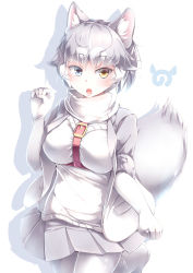 Rule 34 | 1girl, absurdres, animal ear fluff, animal ears, blue eyes, breasts, commentary, dog (mixed breed) (kemono friends), dog ears, dog tail, elbow gloves, fang, gloves, grey jacket, grey pantyhose, grey skirt, hand up, highres, jacket, japari symbol, kanzakietc, kemono friends, large breasts, looking at viewer, multicolored hair, open mouth, pantyhose, paw pose, pleated skirt, short hair, simple background, skirt, solo, tail, two-tone hair, white background, white gloves, white hair, yellow eyes