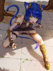 Rule 34 | 1girl, animal ears, bare shoulders, blue hair, blush, boots, breasts, cat ears, cat tail, cleavage, dagger, dual wielding, fang, gauntlets, holding, kfr, knife, leaning forward, original, panties, ponytail, shadow, skirt, small breasts, solo, squatting, tail, thigh strap, tree, underwear, upskirt, weapon, yellow eyes