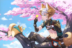 Rule 34 | 1boy, abs, absurdres, animal ears, arm up, armor, blue sky, brown hair, butter, cherry blossoms, cloud, dog, dog boy, dog ears, dog tail, elbow gloves, eyebrows hidden by hair, falling petals, food, genshin impact, gloves, gorou (genshin impact), highres, in tree, japanese clothes, multicolored hair, petals, pp song, short hair, sitting, sitting in tree, sky, solo focus, stomach, tail, taroumaru (genshin impact), tree, white hair