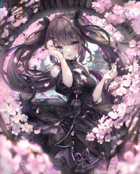 Rule 34 | 1girl, arm up, bare shoulders, black dress, black hair, black pantyhose, black ribbon, blurry, blurry foreground, branch, breasts, building, cleavage, cleavage cutout, clothing cutout, commentary request, day, depth of field, dress, flower, hair ribbon, highres, holding, holding flower, long hair, medium breasts, missile228, original, outdoors, pantyhose, petals, pink flower, puffy short sleeves, puffy sleeves, purple eyes, ribbon, short sleeves, shoulder cutout, solo, standing, twintails, very long hair