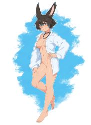 Rule 34 | 1girl, animal ears, barefoot, black hair, blue eyes, blue hair, bottomless, collarbone, colored tips, commentary, dress shirt, english commentary, full body, hair between eyes, hand on own hip, hand on own thigh, highres, looking at viewer, multicolored hair, naked shirt, open clothes, open shirt, original, outline, rabbit ears, rob ishi, shirt, simple background, smile, solo, tracie (rob ishi), two-tone hair, white outline, white shirt