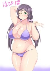 Rule 34 | 10s, 1girl, belly, bikini, breasts, cleavage, fupa, huge breasts, large breasts, long hair, looking at viewer, love live!, love live! school idol project, morisoba (silent hill), navel, one eye closed, plump, purple bikini, purple hair, solo, swimsuit, tojo nozomi, twintails, wink