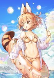 Rule 34 | 10s, 1girl, absurdres, adapted costume, animal ears, animal ears (norankkori), beach, bikini, blonde hair, blue sky, breasts, cloud, cloudy sky, collarbone, day, extra ears, food, front-tie top, highres, innertube, kemono friends, looking to the side, navel, ocean, off shoulder, open clothes, open mouth, outdoors, popsicle, see-through silhouette, serval (kemono friends), serval print, serval tail, shirt, short hair, sky, small breasts, solo, striped tail, swim ring, swimsuit, tail, water, wet, wet clothes, wet shirt, white shirt, yellow eyes