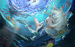 Rule 34 | 1girl, absurdres, barefoot, blue eyes, blue hair, blue hoodie, bubble, clownfish, coral, eru aise, fins, fish, fish tail, gawr gura, hair ornament, highres, hololive, hololive english, holomyth, hood, hoodie, long hair, long sleeves, looking at viewer, multicolored hair, open mouth, shark girl, shark hair ornament, shark tail, short twintails, streaked hair, sunlight, surgeonfish, tail, twintails, underwater, underwear, virtual youtuber, white hair