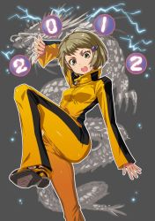 Rule 34 | 10s, 1girl, 2012, bad id, bad pixiv id, blonde hair, bruce lee&#039;s jumpsuit, dragon, electricity, fighting stance, fujisawa takashi, green eyes, huang baoling, new year, shoes, short hair, sneakers, solo, standing, standing on one leg, tiger &amp; bunny