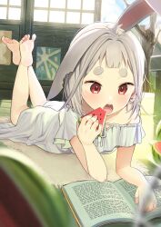 Rule 34 | 1girl, barefoot, blurry, blurry foreground, blush, book, dress, ear down, feet, female focus, food, fruit, grey hair, highres, hikimayu, holding, holding food, indoors, lying, motto notto, notched ear, on stomach, open mouth, original, rabbit ears, rabbit girl, reading, red eyes, single bare shoulder, soles, solo, sunlight, the pose, toes, watermelon, watermelon slice, white dress