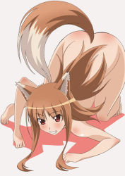 Rule 34 | 00s, 1girl, all fours, animal ears, barefoot, brown hair, holo, long hair, nude, paopa ship, red eyes, solo, spice and wolf, tail, wolf ears, wolf tail