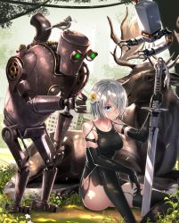 Rule 34 | 1girl, animal, bare shoulders, bird, black dress, black gloves, black thighhighs, blue eyes, breasts, collarbone, commentary request, day, dress, elbow gloves, flower, giving, gloves, hair over one eye, highres, holding, holding flower, holding sword, holding weapon, knee up, medium breasts, moose, nier:automata, nier (series), outdoors, pascal (nier:automata), pod (nier:automata), post-apocalypse, robot, short hair, silver hair, sitting, sleeveless, sleeveless dress, solo, sword, swordsouls, thighhighs, weapon, a2 (nier:automata)