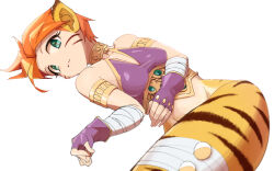 Rule 34 | 1girl, animal ears, breasts, breath of fire, breath of fire ii, bustier, capcom, cat ears, closed mouth, facial mark, gloves, green eyes, medium breasts, ooo, orange hair, pointy ears, rinpoo chuan, short hair, simple background, solo, white background