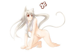Rule 34 | 1girl, albino, all fours, animal ears, barefoot, bug, butterfly, cat ears, cat tail, insect, long hair, no panties, nude, open clothes, open shirt, red eyes, satomi (black scarecrow), shirt, solo, tail, towel, white hair