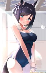 Rule 34 | 1girl, absurdres, animal ears, backlighting, black hair, blue eyes, blue one-piece swimsuit, bob cut, breasts, commentary request, competition school swimsuit, cowboy shot, eishin flash (umamusume), from side, head tilt, highres, horse ears, horse girl, horse tail, looking at viewer, medium breasts, one-piece swimsuit, parted bangs, school swimsuit, short hair, solo, standing, swept bangs, swimsuit, tail, thighs, umamusume, v arms, wasawasabidayo