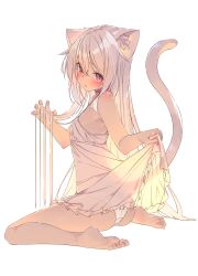 Rule 34 | 1girl, animal ear fluff, animal ears, barefoot, breasts, cat ears, cat girl, cat tail, claw pose, clothes lift, dress, dress lift, feet, full body, highres, legs, lifting own clothes, long hair, looking at viewer, original, panties, red eyes, see-through, see-through dress, see-through silhouette, shiro youduki, simple background, sitting, sleeveless, sleeveless dress, small breasts, soles, tail, toes, underwear, very long hair, wariza, white background, white hair, white panties