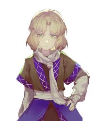 Rule 34 | 1girl, absurdres, arm warmers, black shirt, black skirt, blonde hair, breasts, brown jacket, bucket, green eyes, half updo, highres, jacket, medium breasts, mizuhashi parsee, multicolored clothes, multicolored jacket, pointy ears, scarf, shirt, short hair, skirt, small breasts, touhou, wb yimo, white scarf