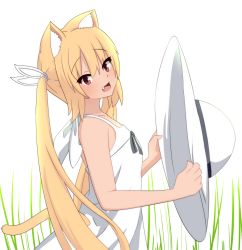 Rule 34 | 1girl, animal ears, blonde hair, bokota (bokobokota), dress, fang, fox ears, fox girl, fox tail, from side, grass, hat, highres, holding, holding clothes, holding hat, looking at viewer, open mouth, original, red eyes, solo, sun hat, sundress, tail, twintails, unworn hat, unworn headwear, white dress, white hat