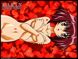 Rule 34 | 00s, 1girl, censored, character name, chestnut mouth, collarbone, covering breasts, covering privates, dot nose, female focus, flower, groin, highres, karin, looking at viewer, maaka karin, nude, short hair, solo, tareme, upper body, vector trace, wallpaper