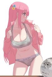 Rule 34 | 1girl, alternate costume, animal, bakaking, blue eyes, bocchi the rock!, bra, breasts, cleavage, collarbone, cube hair ornament, gotoh hitori, grey bra, grey panties, hair ornament, highres, jacket, large breasts, long hair, long sleeves, looking to the side, navel, no pants, one side up, open clothes, open jacket, panties, pink hair, pink jacket, seal (animal), simple background, sports bra, standing, stomach, teardrop, underwear, undressing, white background