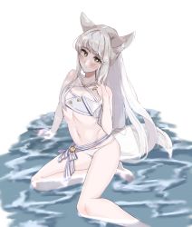Rule 34 | 1girl, animal ear fluff, animal ears, arknights, bikini, blush, breasts, bright pupils, collarbone, highres, horse ears, horse girl, long hair, looking at viewer, navel, official alternate costume, platinum (arknights), platinum (shimmering dew) (arknights), sitting, small breasts, swimsuit, tail, thighs, white background, white hair, white pupils, yuki nko64