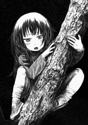 Rule 34 | 1girl, black background, climbing tree, commentary request, fang, full body, greyscale, highres, light blush, long hair, long sleeves, looking at viewer, loose socks, lower teeth only, mclntyre01, monochrome, open mouth, original, raised eyebrow, socks, solo, teeth, tree