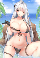 Rule 34 | 1girl, :q, ak-12 (girls&#039; frontline), alternate costume, beach, bikini, bikini tug, black bikini, black ribbon, blue sky, braid, breasts, chixiao, cleavage, closed mouth, cloud, collarbone, crab, day, french braid, front-tie bikini top, front-tie top, girls&#039; frontline, gloves, hair ribbon, highres, large breasts, long hair, looking at viewer, navel, ocean, one eye closed, outdoors, palm leaf, partially fingerless gloves, partially submerged, purple eyes, ribbon, rock, side-tie bikini bottom, sidelocks, silver hair, sitting, skindentation, sky, smile, solo, stomach, swimsuit, thigh strap, thighs, tongue, tongue out, very long hair