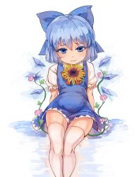 Rule 34 | 1girl, :3, arms at sides, belly, blue dress, blue eyes, blue hair, blush, bow, cirno, colored eyelashes, dress, flower, frilled sleeves, frills, hair between eyes, hair bow, head tilt, hidden star in four seasons, highres, ice, ice wings, light smile, looking at viewer, mofashi beibei, plant, reflection, shiny skin, shirt, short dress, short hair, sitting, sleeveless, sleeveless dress, solo, sunflower, tanned cirno, thighhighs, touhou, vines, white shirt, white thighhighs, wings, zettai ryouiki