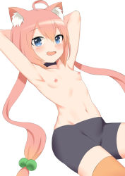 Rule 34 | 1girl, :d, ahoge, animal ear fluff, animal ears, armpits, arms behind head, arms up, bike shorts, black choker, black shorts, blue eyes, blush, breasts, cat ears, choker, hair between eyes, hair bobbles, hair ornament, hinata channel, long hair, low twintails, nekomiya hinata, nipples, open mouth, orange thighhighs, pink hair, short shorts, shorts, simple background, small breasts, smile, solo, thighhighs, topless, toshishikisai, twintails, very long hair, virtual youtuber, white background