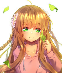 Rule 34 | ahoge, blurry, blush, braid, brown hair, casual, chinese commentary, closed mouth, collarbone, commentary request, depth of field, eyelashes, eyes visible through hair, falling leaves, fingernails, flower, frilled hood, frills, green eyes, hair between eyes, hair flower, hair ornament, hand up, holding, holding leaf, hood, hood down, hoodie, kanbe kotori, leaf, lliissaawwuu2, long hair, looking at object, official alternate costume, pink flower, pink hoodie, rewrite, sidelocks, simple background, smile, straight-on, twin braids, upper body, very long hair, white background