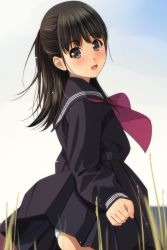 Rule 34 | 1girl, arm at side, black hair, black sailor collar, black serafuku, black shirt, black skirt, blush, clenched hand, comic, day, from side, gradient sky, grass, green eyes, highres, long hair, long sleeves, looking at viewer, looking to the side, matsunaga kouyou, medium skirt, neckerchief, outdoors, panties, panty peek, pink neckerchief, pleated skirt, polka dot, polka dot panties, sailor collar, school uniform, serafuku, shirt, skirt, sky, solo, standing, tareme, underwear, upskirt, wind, wind lift