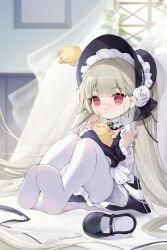 Rule 34 | &gt; &lt;, 1girl, absurdly long hair, animal, azur lane, bare shoulders, bird, black dress, black footwear, black headwear, black sleeves, blunt bangs, bonnet, chick, commentary, curtains, day, dress, earrings, flower, frilled dress, frills, full body, grey hair, hair flower, hair ornament, highres, holding, holding animal, indoors, jewelry, little formidable (azur lane), long hair, looking at viewer, manjuu (azur lane), mary janes, pantyhose, parted lips, red eyes, rose, shadow, shoes, unworn shoes, sitting, suisei (sui seic), twintails, two-tone dress, two-tone ribbon, very long hair, white flower, white pantyhose, white rose, window