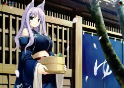 Rule 34 | 1girl, animal ears, bathhouse, fox ears, green eyes, japanese clothes, kimono, poco (asahi age), purple hair, solo