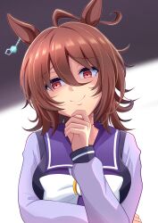 Rule 34 | 1girl, agnes tachyon (umamusume), ahoge, animal ears, bow, bowtie, brown hair, chemical structure, commentary request, earrings, empty eyes, highres, horse ears, horse girl, horseshoe ornament, jewelry, long sleeves, looking at viewer, messy hair, missan sun, partial commentary, purple shirt, red eyes, sailor collar, sailor shirt, school uniform, shaded face, shirt, short hair, single earring, smile, solo, tracen school uniform, umamusume, upper body, white bow, white bowtie
