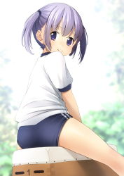 Rule 34 | 1girl, ass, blue buruma, blurry, blurry background, buruma, closed mouth, commentary request, depth of field, gym shirt, gym uniform, highres, looking at viewer, looking back, original, puffy short sleeves, puffy sleeves, purple eyes, purple hair, shibacha, shirt, short sleeves, sitting, smile, solo, twintails, vaulting horse, white shirt